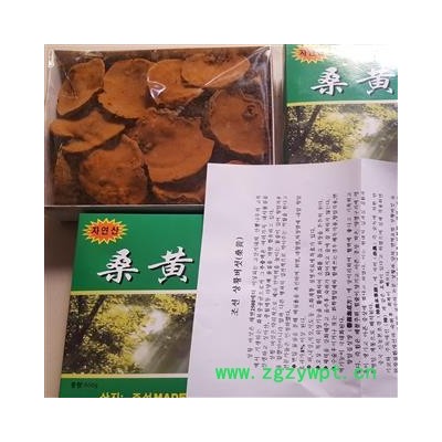 吉康药业桑黄桑黄灵芝 猢狲眼 桑耳桑黄