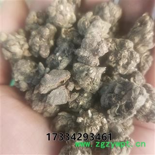 猫爪草 家种猫爪草中选货1.0-1.4 产地 安徽省图4