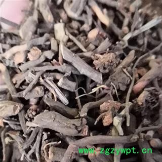 安祁名药茜草 红茜草  血见愁图2