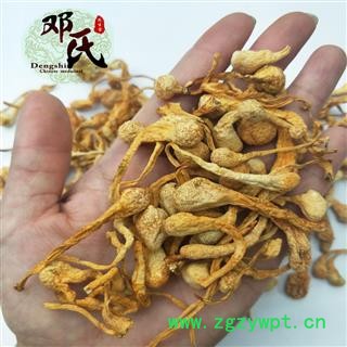 【满包邮】虫草花 孢子头虫草花 金虫草 优选品质 产地直销 邓氏中药批发图4