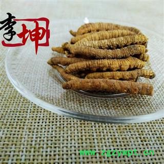 【包邮】冬虫夏草 肉节子虫草 色泽饱满 无硫新货 产地直供 品质保证【良心经营 品种齐全】图3