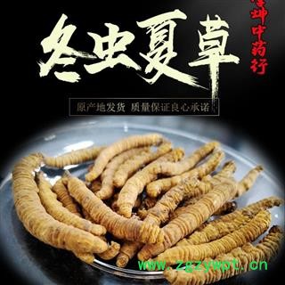 【包邮】冬虫夏草 大肉节子虫草 色泽饱满 无硫新货  产地直供 品质保证【良心经营 品种齐全】图1