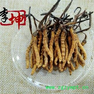 【包邮】冬虫夏草 虫草 4000条  色泽饱满 无竹签无断草 产地直供 品质保证【良心经营 品种齐全】图1