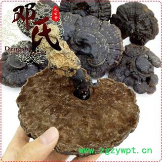 小个黑灵芝伞形盖选货1公斤起批苦味散装批发产地直供邓氏中药材批发图4