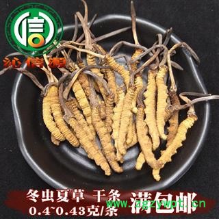 【满包邮】干虫草2500条 平均0.4~0.43克每条 散装产地直供冬虫夏草沁信源中药批发图1