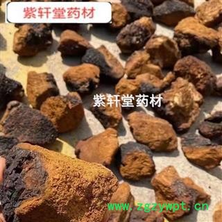 桦树茸 菌灵芝 白桦茸大块 正桦树茸 白桦泪 桦树泪 桦树黄 桦树菇 桦褐孔 产地 黑龙江省图2