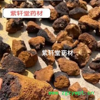 桦树茸 菌灵芝 白桦茸大块 正桦树茸 白桦泪 桦树泪 桦树黄 桦树菇 桦褐孔 产地 黑龙江省图1