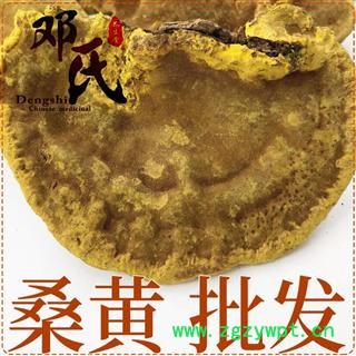 桑黄500g 西藏金边桑树桑黄灵芝散装零售 中药材批发 量大从优图1