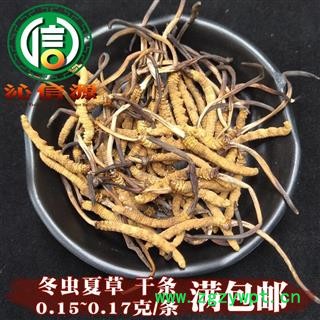 【满包邮】干虫草6500条 平均0.15~0.17克每条 散装产地直供冬虫夏草沁信源中药批发图1