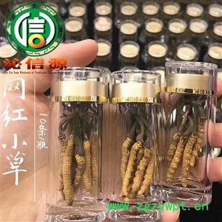 【满包邮】干虫草6500条 平均0.15~0.17克每条 散装产地直供冬虫夏草沁信源中药批发图3