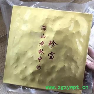 新辉药业优质灵芝 虎乳灵芝 虎乳菌图3