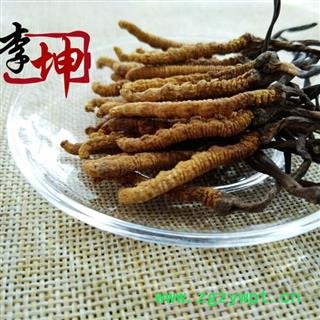 【包邮】冬虫夏草 虫草 精选3000条 色泽饱满 无竹签无断草 产地直供 品质保证【良心经营 品种齐全】图2