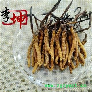 【包邮】冬虫夏草 虫草 精选3000条 色泽饱满 无竹签无断草 产地直供 品质保证【良心经营 品种齐全】图3