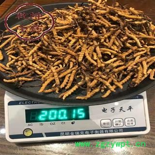 冬虫夏草 藏虫草精选3000条 产地 西藏自治区【诚信经营 品种齐全】图2