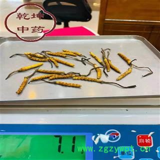 冬虫夏草 藏虫草精选3000条 产地 西藏自治区【诚信经营 品种齐全】图3