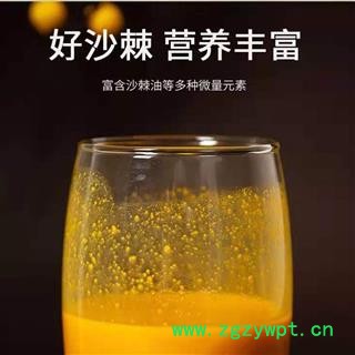 沙棘全浆粉/沙棘全果粉图2