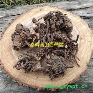 无硫藁本 秦岭野生香藁本 手工分拣日晒干净500g图3