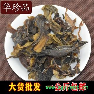 昆布 01 昆布 统 产地 广西壮族自治区桂林市市辖区图1