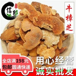 野生血灵芝牛樟芝牛樟菇红樟芝台湾真菌牛樟芝专注品质，诚信信邦！图1