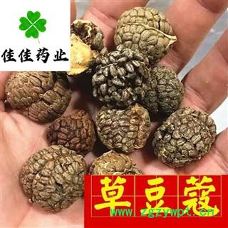 草豆蔻 大选货 草寇 草叩 产地 广西壮族自治区 供应各种中药材图1