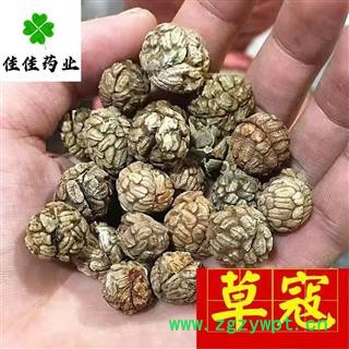 草豆蔻 大选货 草寇 草叩 产地 广西壮族自治区 供应各种中药材图3