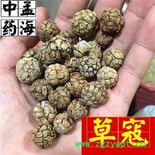 草豆蔻 选装 草寇 草蔻 草扣 过筛货 无碎籽 产地直销 产地 广西壮族自治区 草寇图4