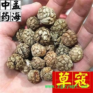 草豆蔻 选装 草寇 草蔻 草扣 过筛货 无碎籽 产地直销 产地 广西壮族自治区 草寇图1