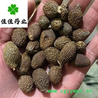 胖大海 胖大海长粒好统货 一分价一分货 专注高品质中药材 产地 海外图1