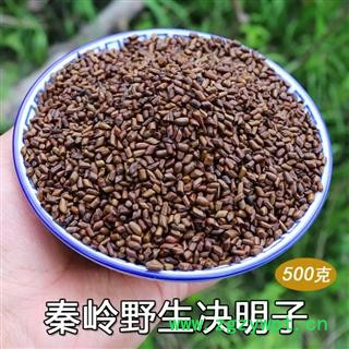 决明子泡茶 野生决明子500g 炒决明子儿童沙滩玩具决明子新货无硫图1