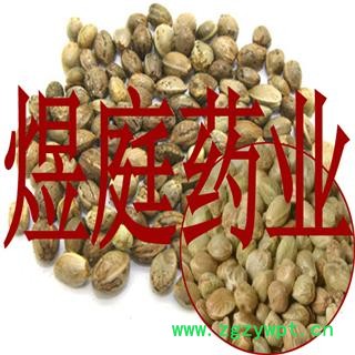 煜庭药业 火麻子 火麻 火麻籽 火麻仁 正品图1