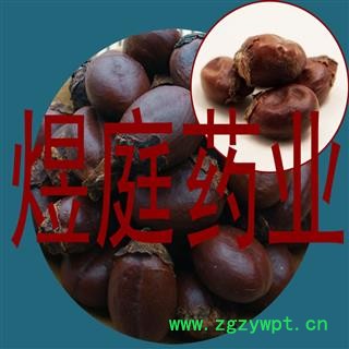 煜庭药业 龙眼核 桂圆核 龙眼子图4