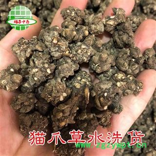 猫爪草 家种猫爪草大选货1.4以上 产地 河南省 买好药找娟子图1