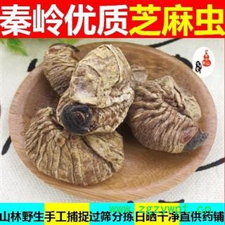 豆虫 秦岭优质干品芝麻虫 豆天蛾 豆丹500g图1