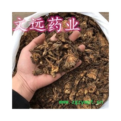 羌活 甘肃种植 羌活  统 过筛子 产地 甘肃省