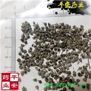 平安药业 黄荆子 黄金子 布荆子 优质图1