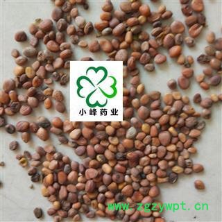 莱菔子 莱菔子 选货 新货 颜色好 纯干 无虫蛀 产地 山东省图1