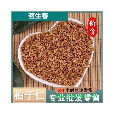 去壳90%柏子仁 茗生春药材总公司 一手货源  7天无理由退换