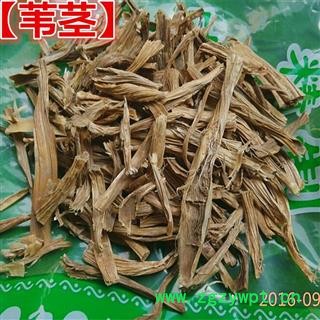 芦苇杆 芦茎 苇茎 芦苇茎 芦根茎 芦苇杆子图1