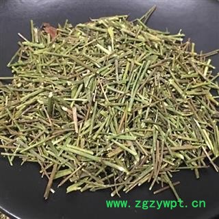 圣草康园 远志苗 小草 细草青小草 细叶远志小草 远志草远志科远志苗图2