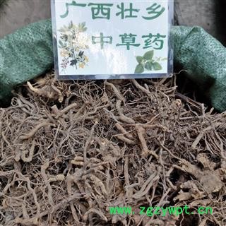 广西壮乡中草药 野生 全根 三月泡 茅莓根 红梅消 三月泡根 蛇泡筋 产地 广西柳州图4