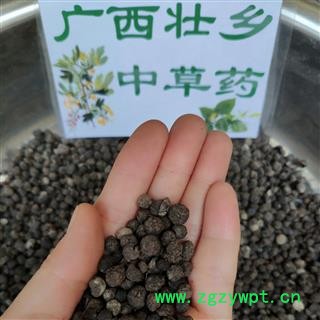 广西壮乡中草药 野生 正宗 干品 地下明珠 落地珍珠 一滴金丹 茅膏菜根 产地 广西 融水苗族自治县图1