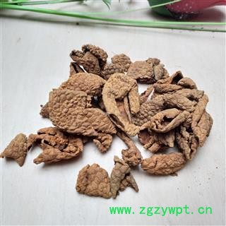 荔枝核 荔枝壳 荔枝皮 产地 广西壮族自治区图2