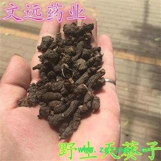 天葵子 文远药业。天葵子 正品 野生 保质 保量 产地 河南省南阳市宛城区图2