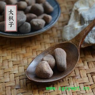 大枫子 云南中草材 大风子 米康茄 尾加木图2