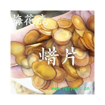 人工驯养鹿茸 鹿茸蜡片 产地 吉林省白山市抚松县