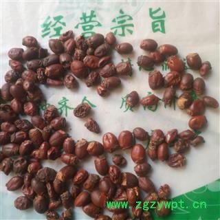 新辉药业中药材荔枝核 荔枝骨 新货无硫图3