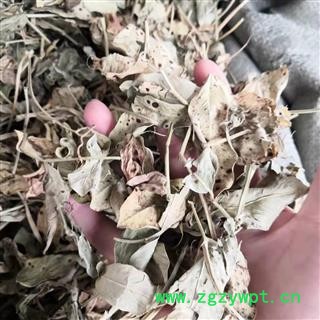 新辉药业花生叶 花生秧  干花生叶  另有花生衣图2