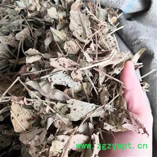 新辉药业花生叶 花生秧  干花生叶  另有花生衣图3