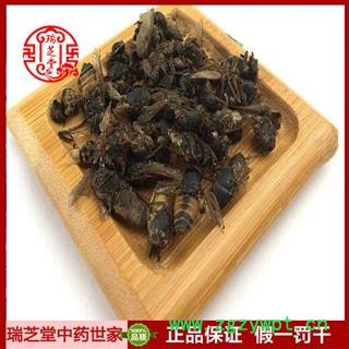 虻虫统货 陕西虻虫 药典正品 中药材 瑞芝堂产地直供1000克 规格齐全 一站购齐图3