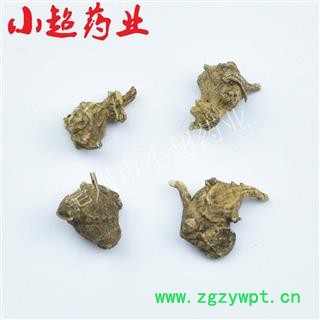 珠子参 01 珠子参 统 产地 贵州省图3